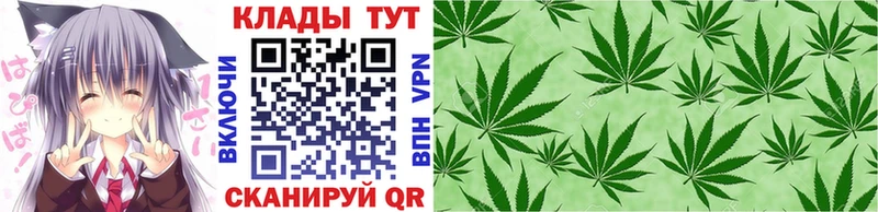 Купить закладку КОКАИН  Бошки Шишки  Мефедрон  ГАШИШ  Щигры
