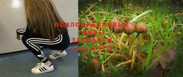 СК Горно-Алтайск