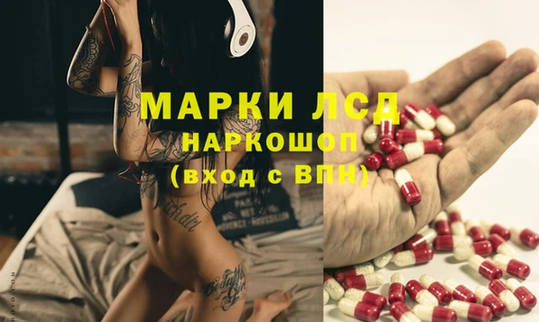 СК Горняк