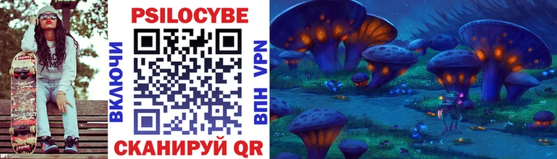 Купить закладки  Щигры  Псилоцибиновые грибы Cubensis 